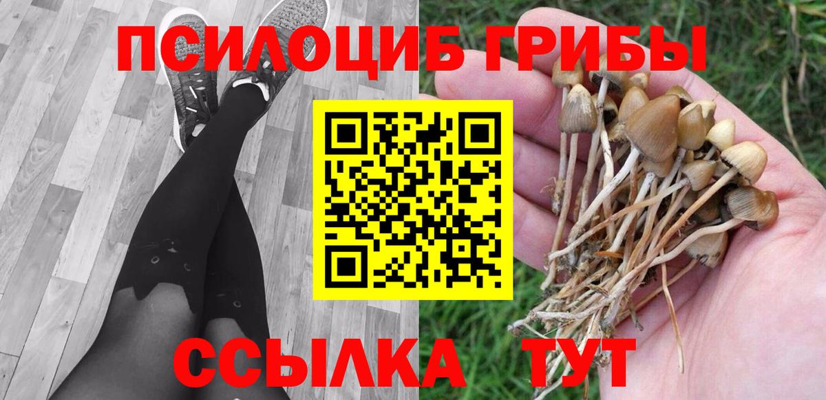 Псилоцибиновые грибы Psilocybine cubensis Самара